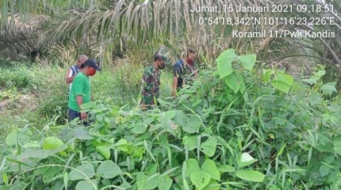 Anggota Koramil 11/Pwk Kandis Menggelar Patroli Karlahut