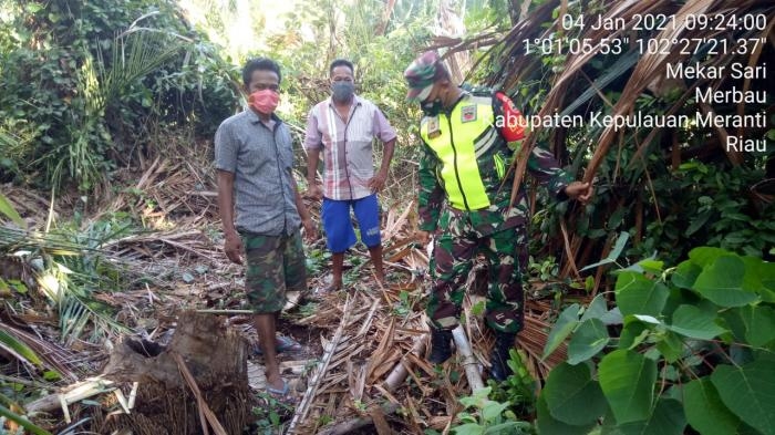 Anggota Danramil 08/Merbau Mengelar Patroli Wilayah