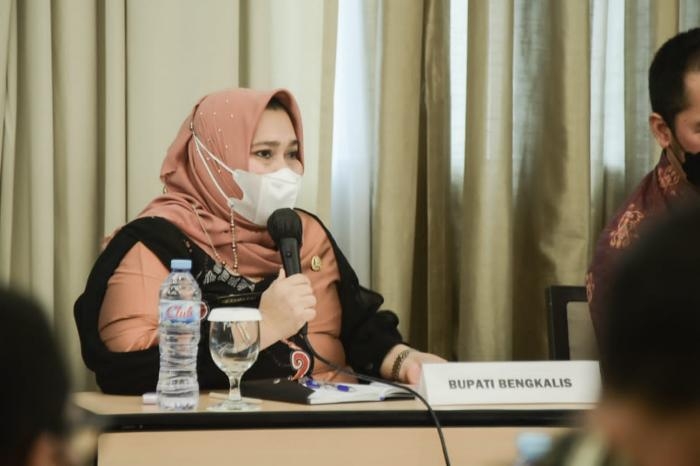 Bupati Persentasi di Hadapan Plt Dirjen Tata Ruang Kementerian ATR/BPN