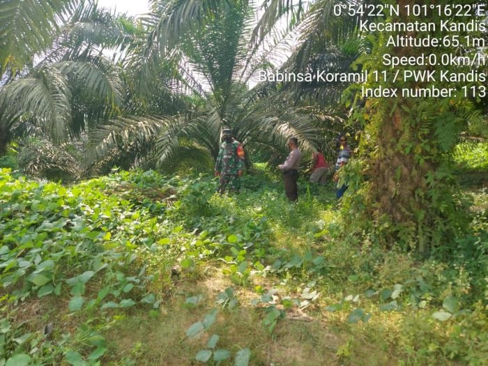 Cegah Kebakaran, Anggota Koramil 11 Kandis Giat Lakukan Patroli Karlahut