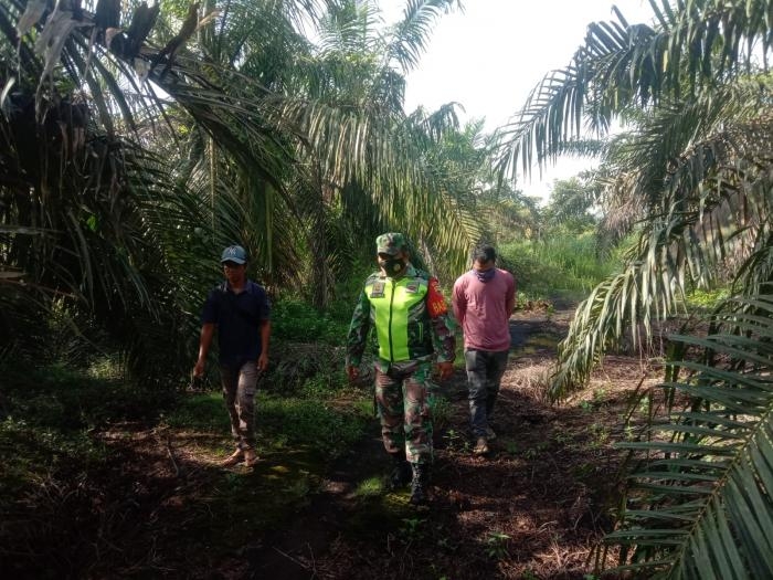 Cegah Kebakaran, Sertu Uuk Sudarijanto Pelaku Pembakaran Hutan Dan Lahan Akan Dikenai Sanksi