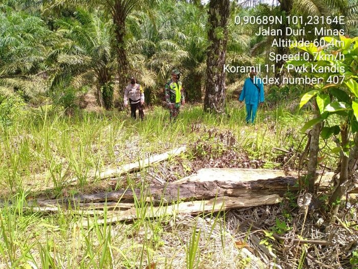Pantau Titik Api, Anggota Koramil 11 Kandis Serma GN Munthe Giat Lakukan Patroli Karlahut