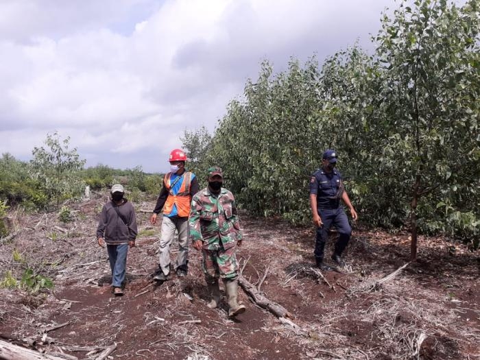 Cegah Kebakaran Hutan, Babinsa Kampung Lubuk Umbut Gelar Patroli Karlahut