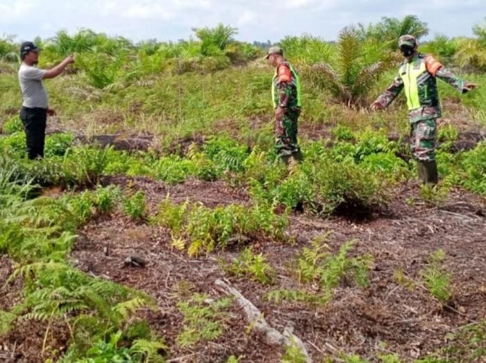 Waspada Kebakaran, Babinsa Koramil 06 Sungai Apit Lakukan Patroli Karlahut