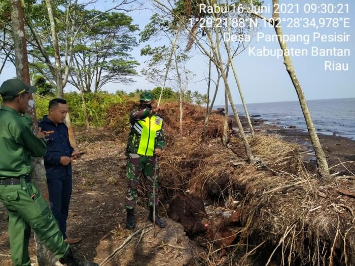 Cegah Kebakaran, Babinsa Desa Pambang Pesisir Menggelar Patroli Karlahut