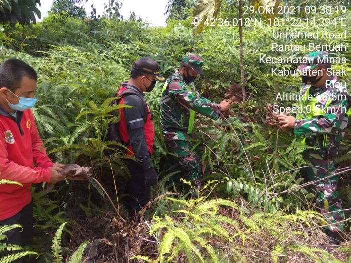 Cegah Terjadinya Kebakaran Hutan, Serda Sugiarto Giat Lakukan Patroli