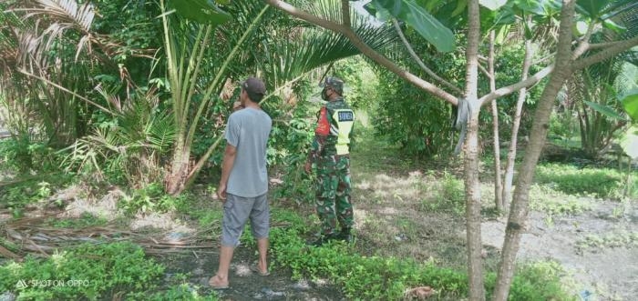 Anggota Koramil 08/Merbau Gelar Patroli Karlahut