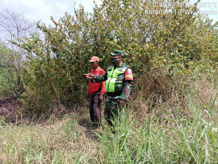 Pantau Karlahut, Anggota Koramil 11 Kandis Peltu JP Sihombing Giat Lakukan Patroli