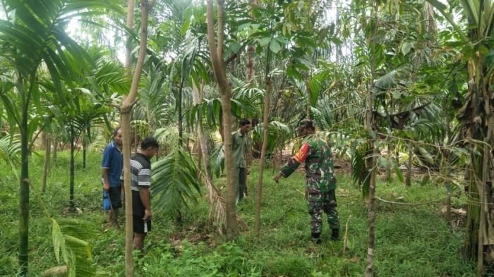 Cegah Kebakaran, Babinsa Desa Pasiran Kembali Gelar Patroli Karlahut Bersama Warga