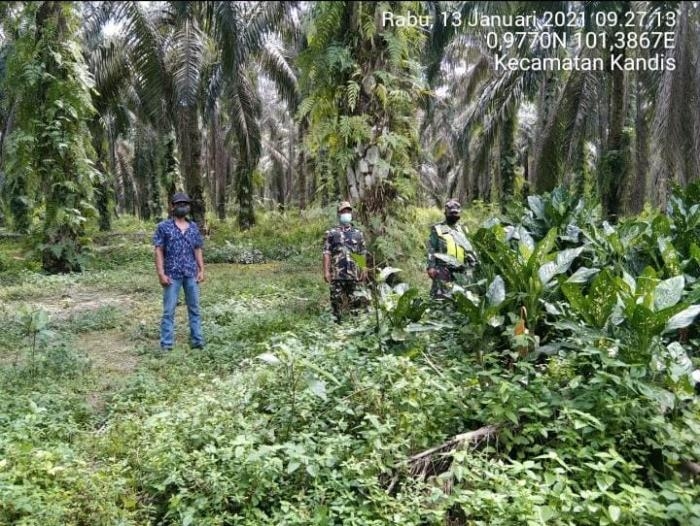 Anggota Koramil 11/Pwk Kandis Gelar Patroli Karlahut