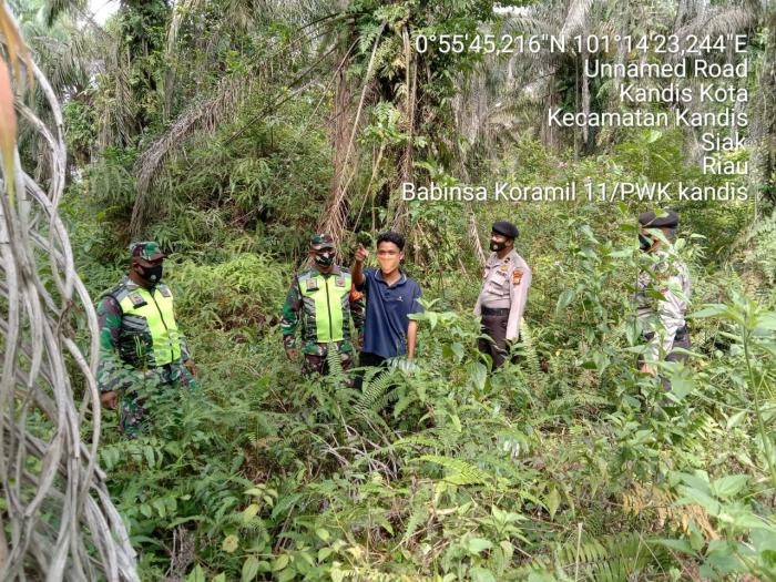 Pantau Titik Api, Babinsa Kelurahan Simpang Belutu Giat Lakukan Patroli Karlahut
