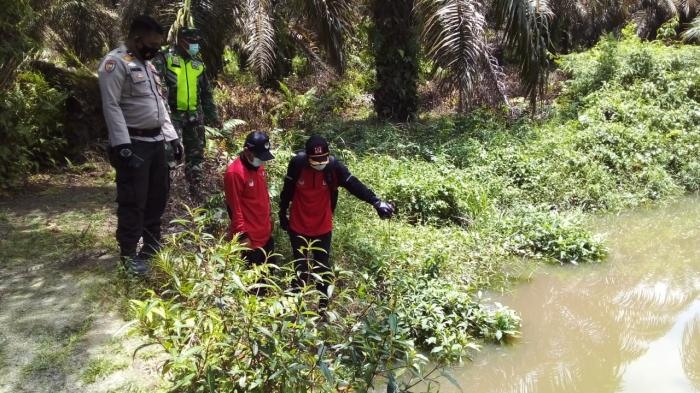 Cegah Terjadinya Kebakaran Hutan, Serda Sugiarto Giat Lakukan Patroli