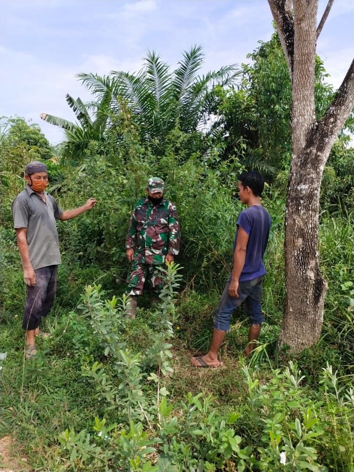 Cegah Titik Api, Sertu Pauzi Kembali Gelar Patroli Karlahut di Desa Temusai