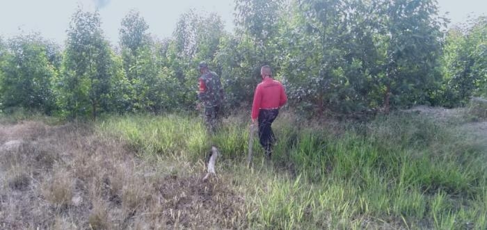 Anggota Danramil 09/Minas Kembali Gelar Patroli Karlahut