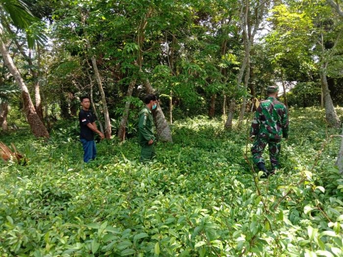 Pantau Titik Api, Babinsa Desa Bantan Tua Gelar Patroli Karlahut Bersama Warga