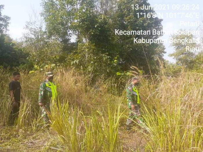 Antisipasi Kebakaran Hutan, Babinsa Koramil 04 Mandau Gelar Patroli Karlahut di Kecamatan Bathin Sol