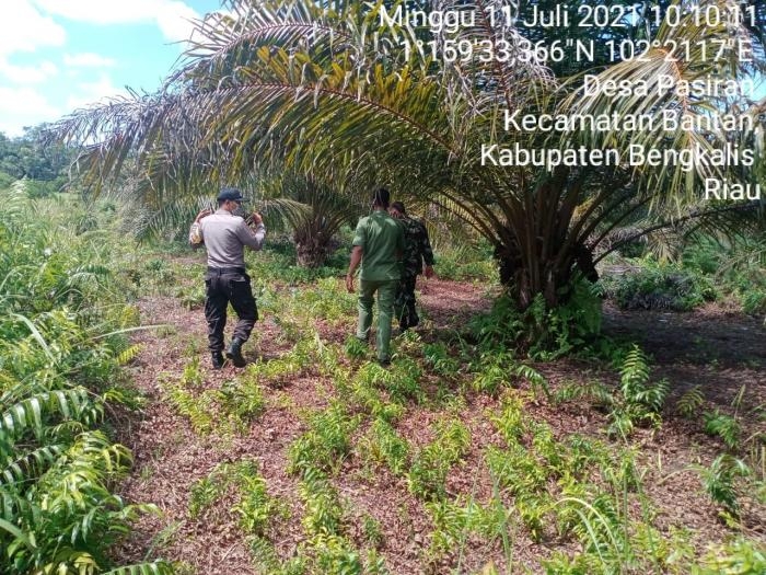 Cegah Titik Api, Serda Armansyah Lakukan Patroli Karlahut di Desa Pasiran
