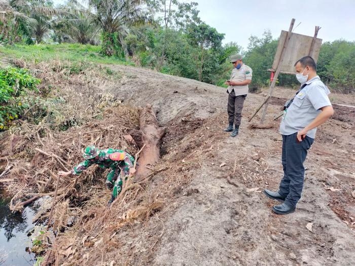 Pantau Titik Api, Babinsa Kampung Bencah Umbai Gelar Patroli Karlahut Bersama Karyawan PT. RAPP