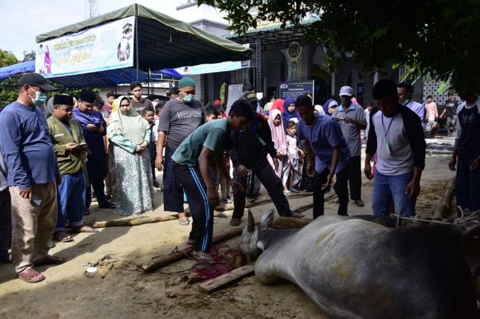 Kurban di Masjid At Taqwa Pinggir, Kasmarni Sebut Wujud Syukur dan Makna Berbagi