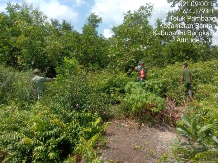 Cegah Kebakaran, Babinsa Desa Pambang Baru Pratu Silaban Kembali Gelar Patroli Karlahut