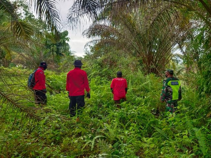 Cegah Kebakaran, Babinsa Koramil 9 Minas Jaya Gelar Patroli Karlahut