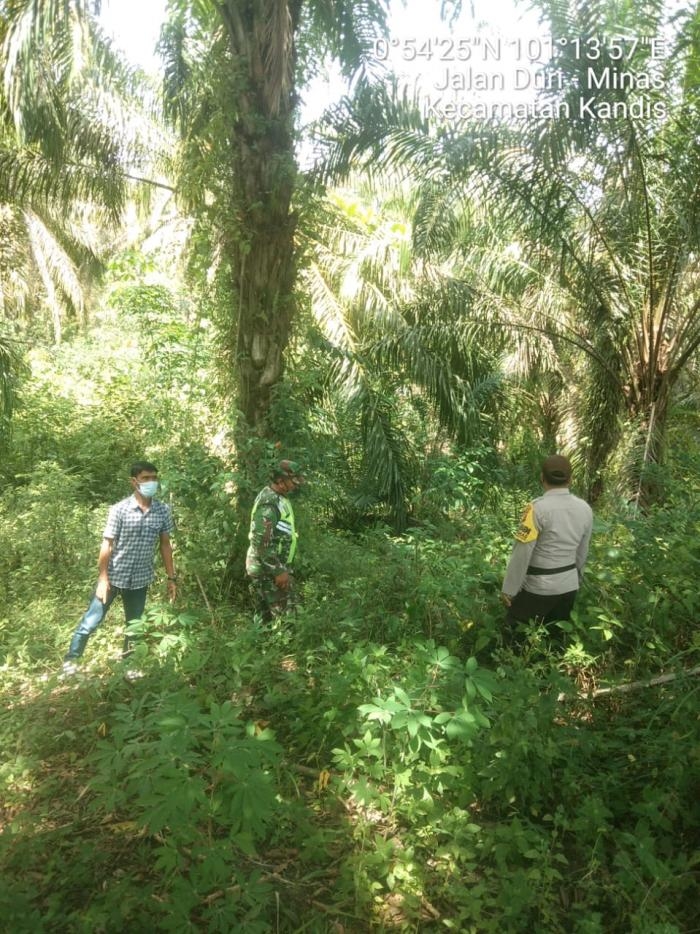 Pantau Karlahut, Anggota Koramil 11 Kandis Kopda K Sitohang Giat Lakukan Patroli