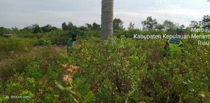 Babinsa Koramil 08 Merbau Giat Lakukan Patroli