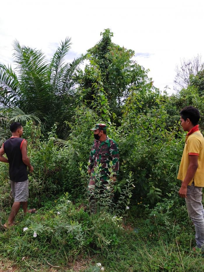 Antisipasi Terjadinya Kebakaran, Babinsa Desa Temusai Sertu Pauzi Giat Lakukan Patroli