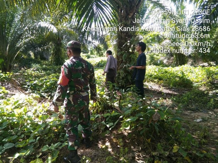 Situasi Cuaca Ektrim, Babinsa Serda Edi Simanjuntak Gelar Patroli Karlahut