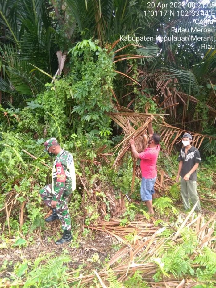 Babinsa Desa Batang Meranti Giat Lakukan Patroli Karlahut Bersama Warga