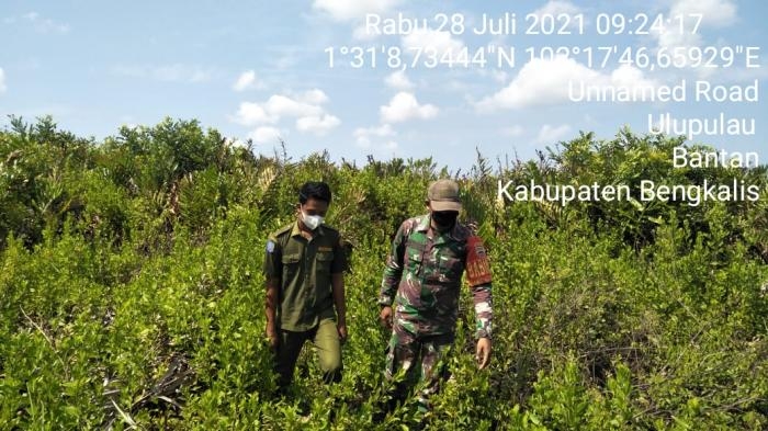 Pantau Titik Api, Babinsa Desa Ulu Pulau Kembali Lakukan Patroli Karlahut Bersama Warga