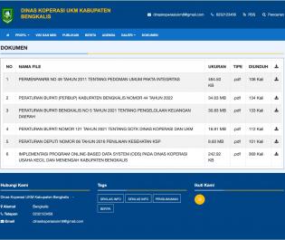 UMKM Bengkalis Go Digital: Inovasi Layanan Publik Lewat Sentuhan Teknologi Anak Negeri