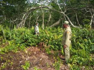 Cegah Karlahut anggota Danramil 08/Merbau kembali gelar patroli.