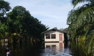 Akibat Curah Hujan Tinggi, Desa Bantan Sari Terendam Banjir 