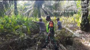 Cegah Karlahut, Babinsa Koramil 11/Pwk Kandis kembali gelar patroli.