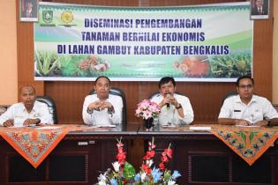 Kepala Balitbang Bengkalis Buka Kegiatan Diseminasi Pengembangan Tanaman Lahan Gambut