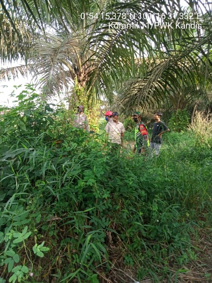 Babinsa Koramil 11 Kandis Giat Lakukan Patroli Karlahut