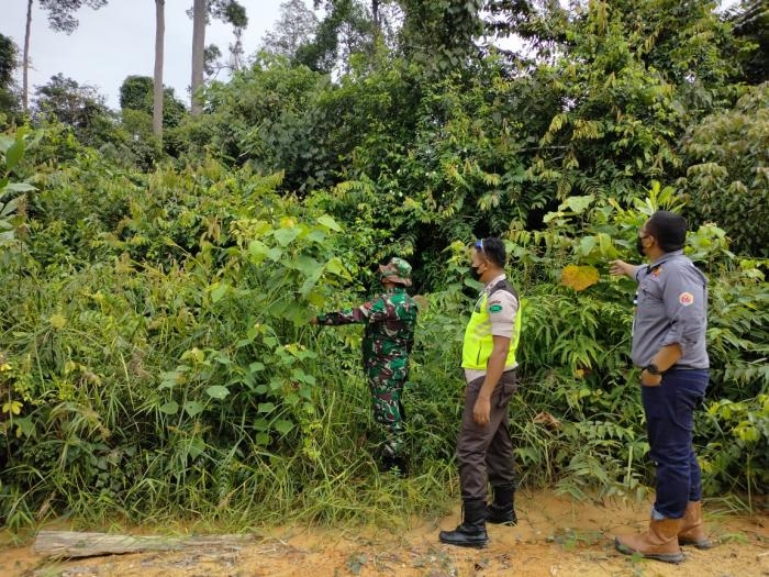 Cegah Terjadinya Kebakaran Hutan, Serda Abdullah Sani Dasopang Giat Lakukan Patroli Karlahut