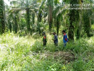 Awasi Kebakaran, Personil Koramil 11 Kandis Gelar Patroli Karlahut di Kampung Bekalar