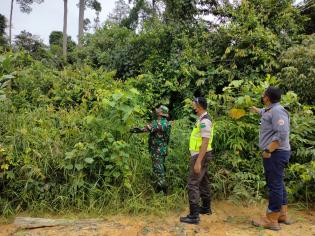 Cegah Terjadinya Kebakaran Hutan, Serda Abdullah Sani Dasopang Giat Lakukan Patroli Karlahut