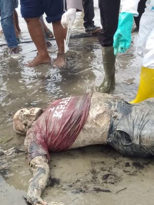 Warga Rupat dihebohkan Dengan Penemuan Mayat